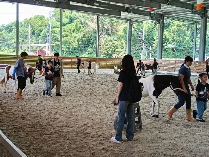 景文科技大學2026愛布釋手ⅩⅡ「賈桃樂的馬術世界｣夏令營圖片
